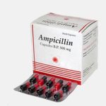 Ampicillin (Penicillin)